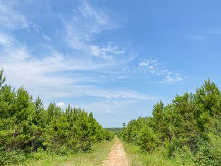 Farm Property in Polk County, Texas