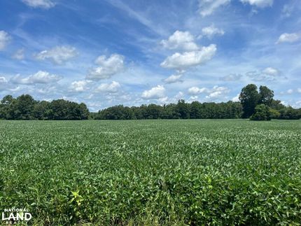 Ranch Property in Shelby County, Alabama