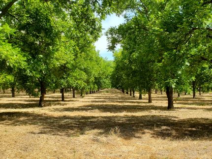 Farm Property in Comanche County, Texas