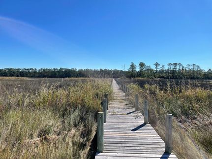 Undeveloped Land in Carteret County, North Carolina