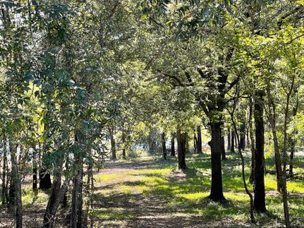 Waterfront Property in Ouachita Parish, Louisiana