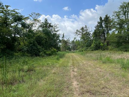 Ranch Property in Warren County, Mississippi