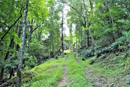 Farm Property in Montgomery County, Virginia