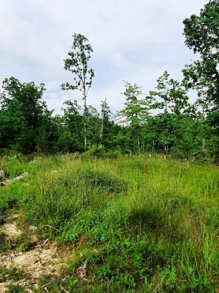 Farm Property in Shannon County, Missouri