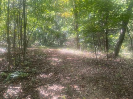 Property in Alexander County, North Carolina