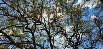 Commercial Property in Atascosa County, Texas