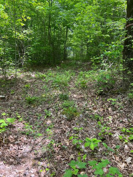 Farm Property in Overton County, Tennessee