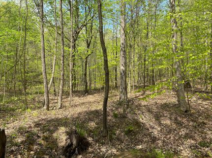 Property in Butler County, Kentucky