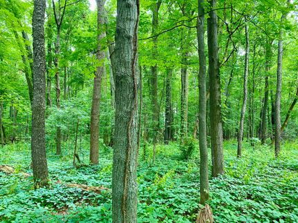 Ranch Property in Jackson County, Michigan