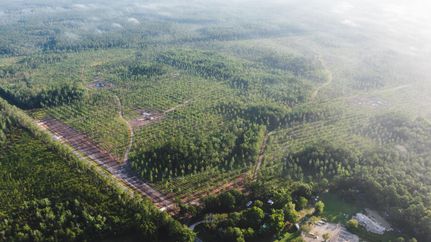 Residential Property for sale in Nassau County, Florida