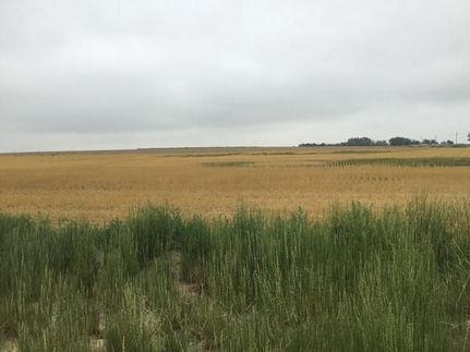 Property for sale in Weld County, Colorado