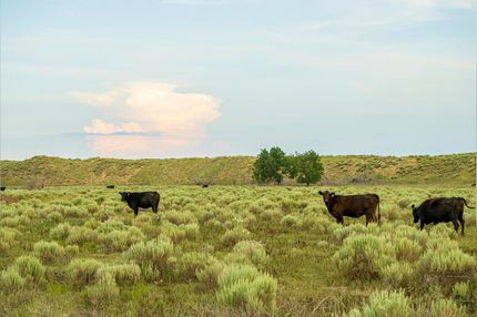 Property in Hamilton County, Kansas