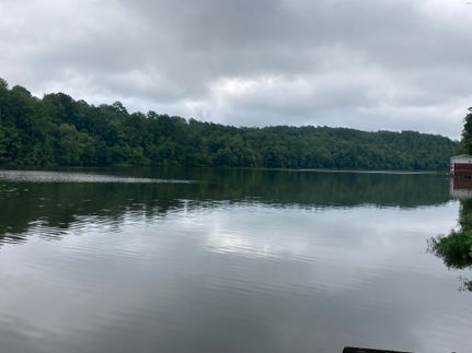 Waterfront Property in Chilton County, Alabama