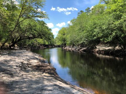 Property in Charlton County, Georgia