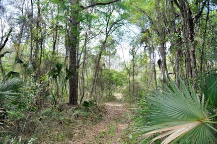 Farm Property in Hernando County, Florida
