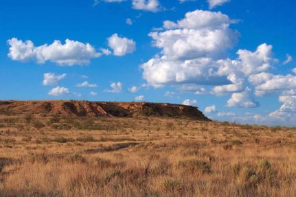 Farm Property in Potter County, Texas