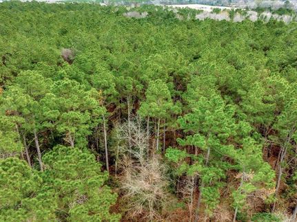 Timberland Property in Nacogdoches County, Texas