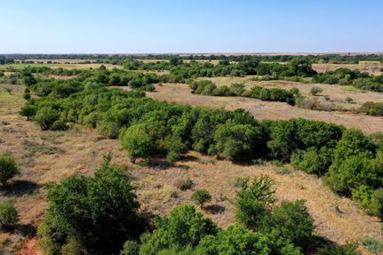 Timberland Property in Cotton County, Oklahoma