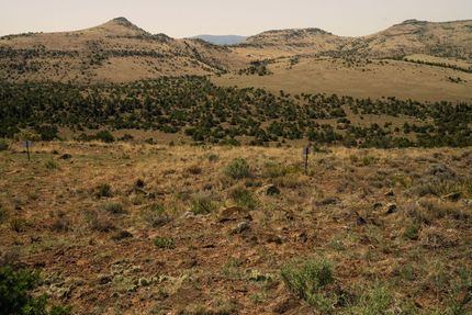 Undeveloped Land for sale in Rio Grande County, Colorado