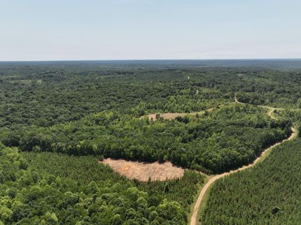 Farm Property in Trigg County, Kentucky