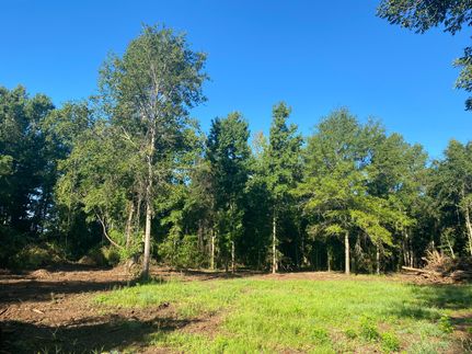 Farm Property in Terrell County, Georgia
