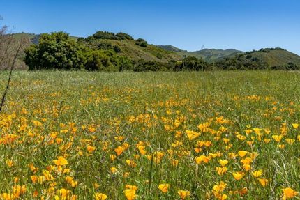 Residential Property in Monterey County, California