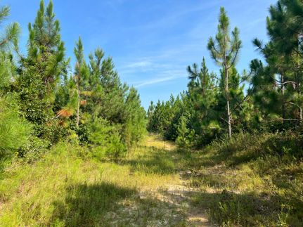 Farm Property in Dale County, Alabama