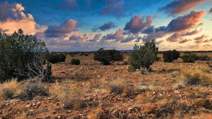 Recreational Property for sale in Apache County, Arizona