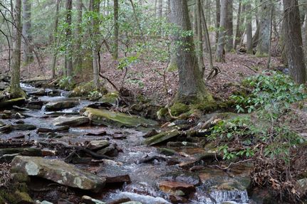 Ranch Property in Marion County, Tennessee