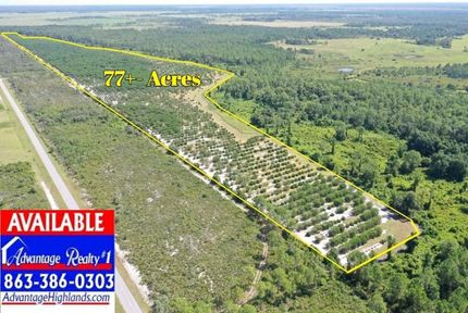 Hunting Land in Highlands County, Florida