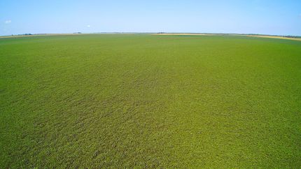 Farm Property in DeWitt County, Illinois