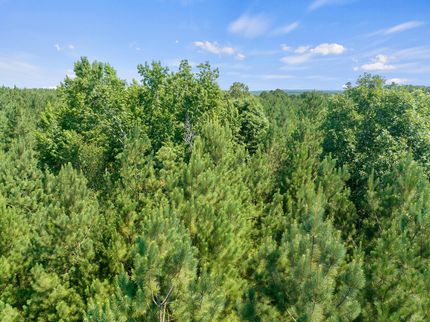Undeveloped Land in McCurtain County, Oklahoma
