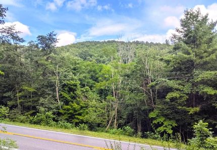 Undeveloped Land in Alleghany County, Virginia