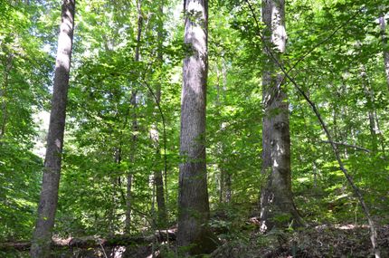Ranch Property in Jackson County, Illinois