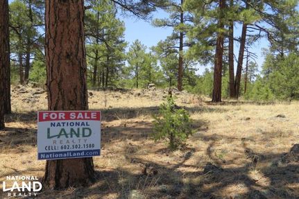 Property in Cibola County, New Mexico
