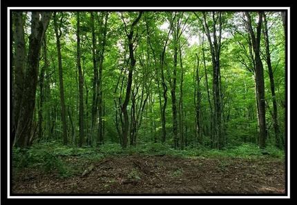 Property in Athens County, Ohio