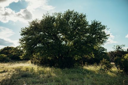 Farm Property in Sutton County, Texas