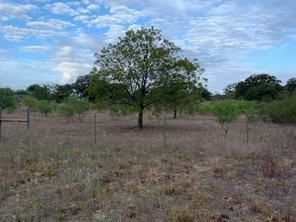 Timberland Property in Eastland County, Texas