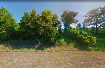 Undeveloped Land in Marion County, Texas
