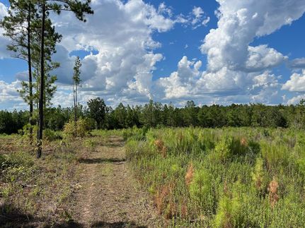 Property in Anderson County, Texas