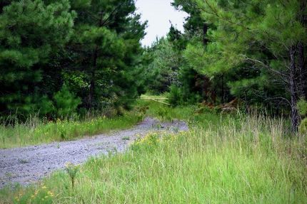 Recreational Property in Upson County, Georgia