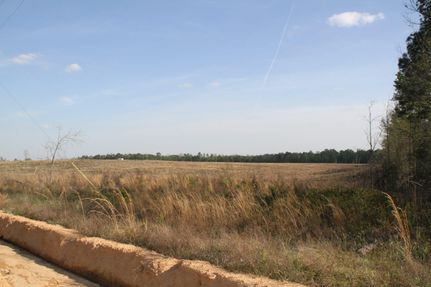 Farm Property in Macon County, Georgia