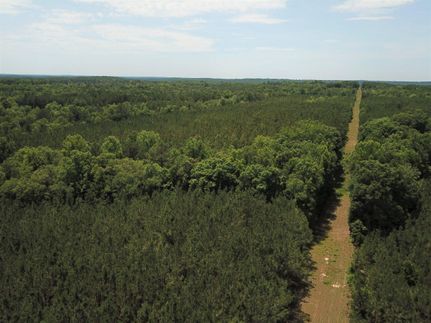 Undeveloped Land in Union County, South Carolina