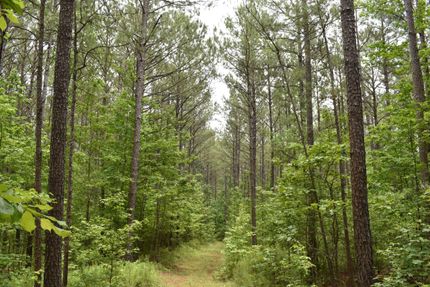 Property in Heard County, Georgia