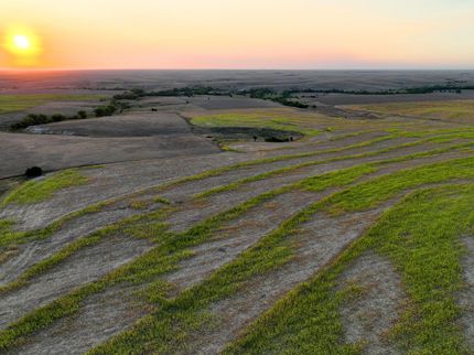 Property in Trego County, Kansas