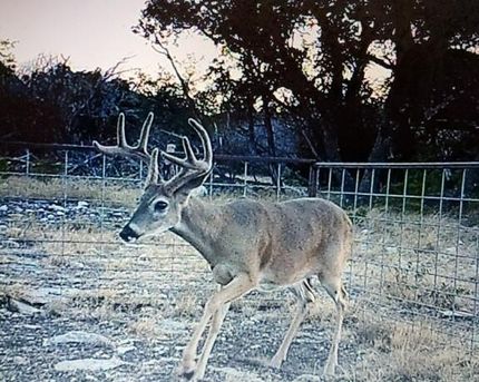 Ranch Property in Edwards County, Texas