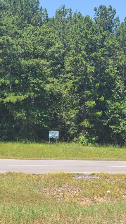 Recreational Property in Covington County, Alabama