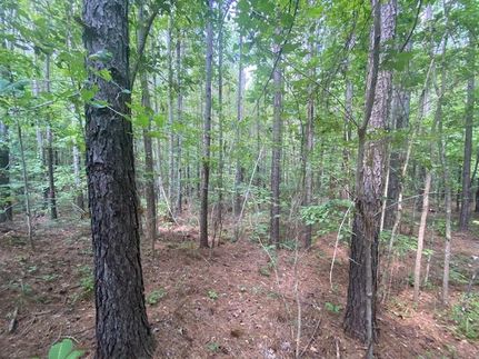 Farm Property in Bibb County, Alabama