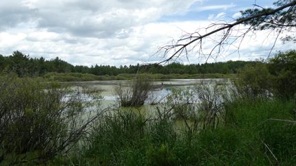 Farm Property in Osceola County, Michigan