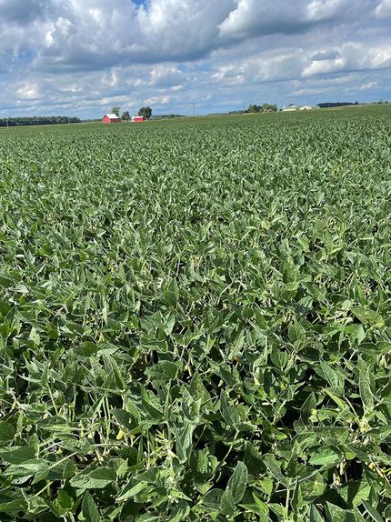 Farm Property in Wells County, Indiana